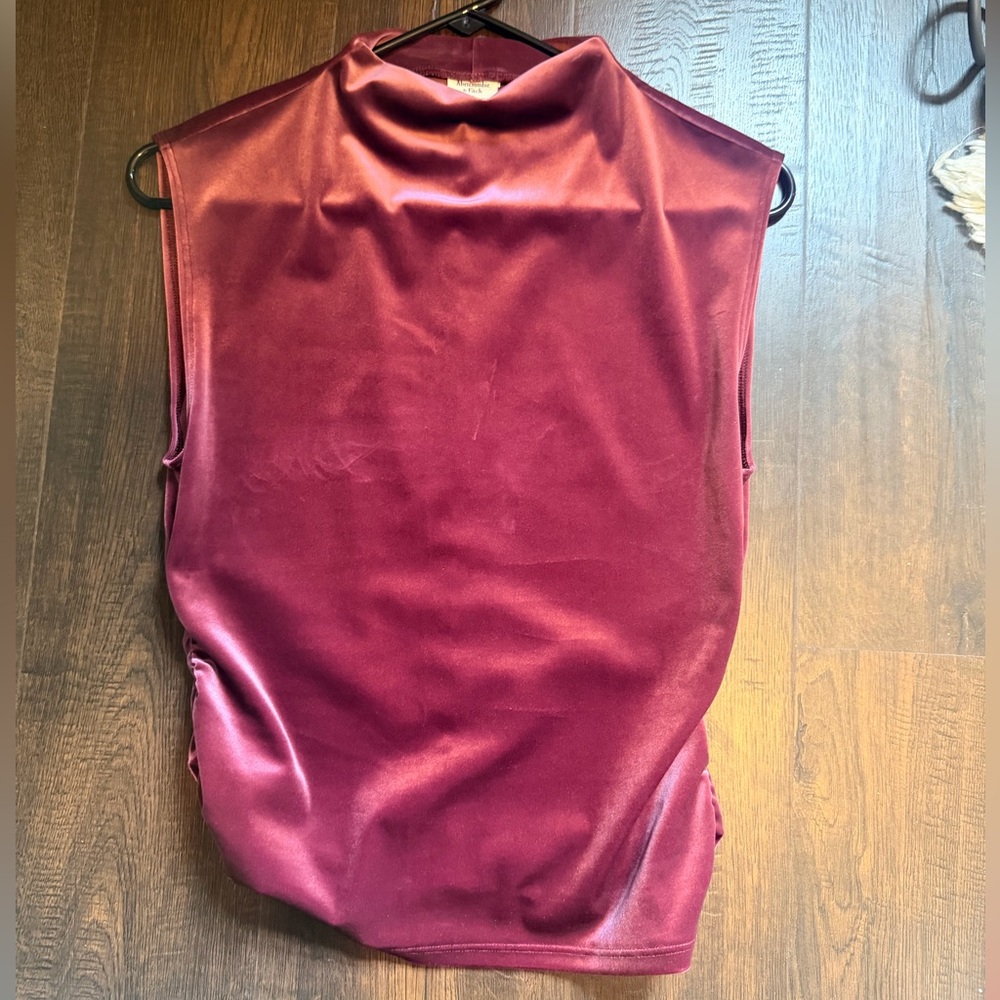 Abercrombie & Fitch Sleeveless Velvet Mock Neck Top - Wine